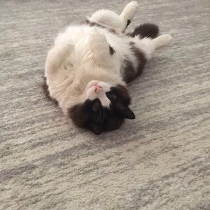 Meet your Posher, Dannette